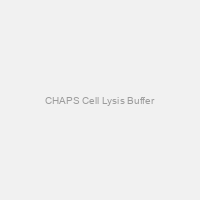 CHAPS Cell Lysis Buffer